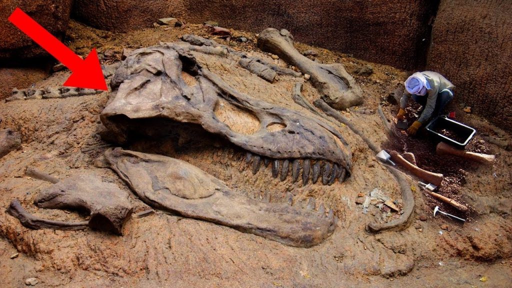 Recent discoveries about prehistoric creatures: Revealing the most mysterious wonders of history - T-News
