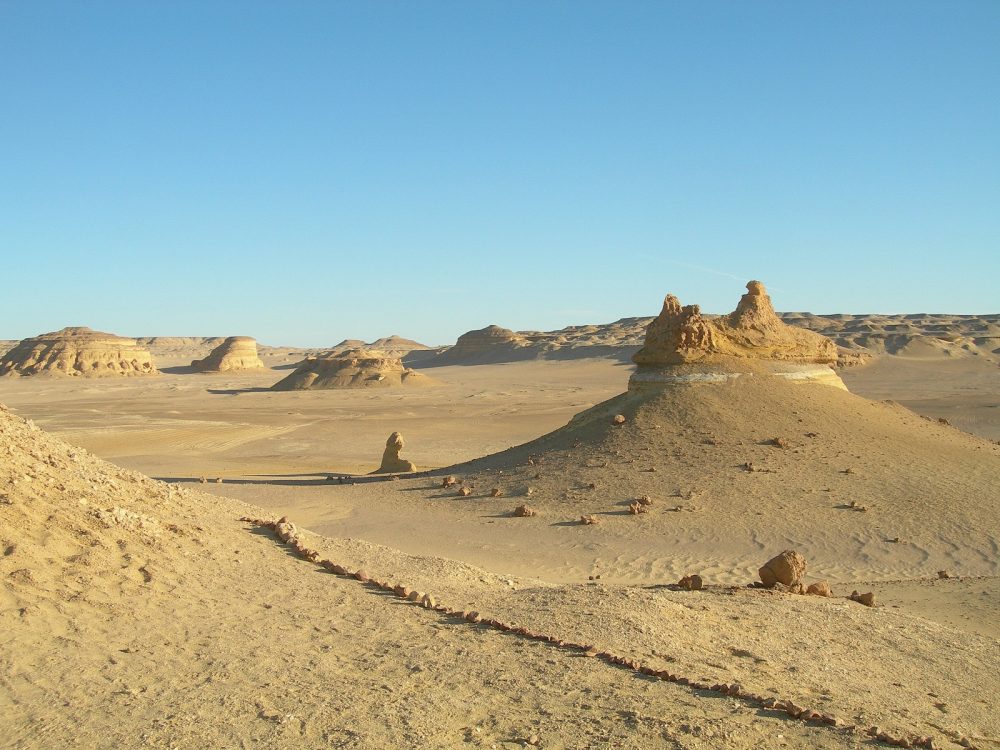 In The Middle Of Egypt’s Desert, There Is A Valley Of Whales Which Is Millions Of Years Old ‎ - Mnews