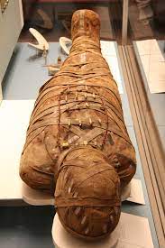 Ancient Egyptian Mummies Found Floating In Sewage water in Egypt - Mnews